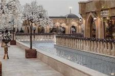 تصویر بند انگشتی باغ تالار دایانا