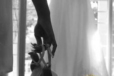 تصویر بند انگشتی عکاسی عروس در باغ عکاسی الهیه