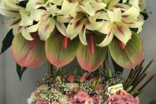 تصویر بند انگشتی سبد گل بسیار زیبا گالری گل کلاسیک