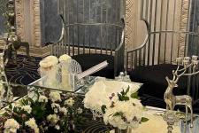 تصویر بند انگشتی جایگاه عروس و داماد