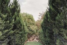 تصویر بند انگشتی فضای سبز در باغ عمارت عکاسی گرمدره
