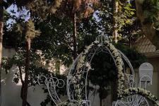 تصویر بند انگشتی کالاسکه اختصاصی باغ عمارت آرین