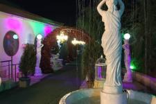 تصویر بند انگشتی دکوراسیون باغ تالار قصر ملک