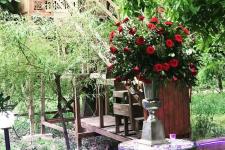 تصویر بند انگشتی فضای باغ، باغ تالار سمیعی
